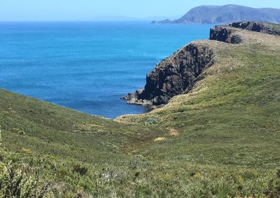 View East Cloudy Bay