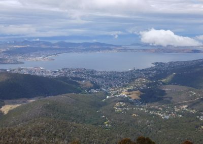 Mt Wellington